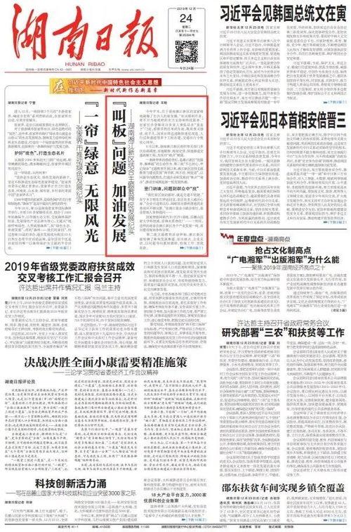 头条主题教育知识,筑牢思想根基