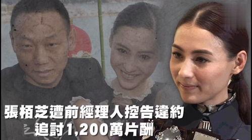 娱乐吃新瓜